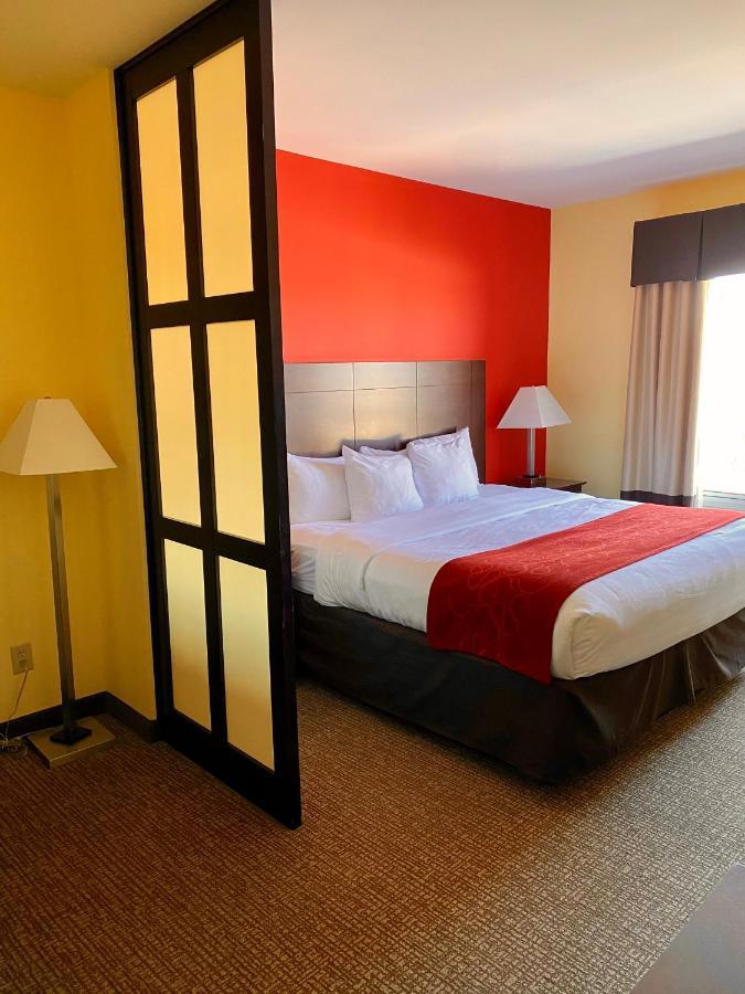 Comfort Suites Rock Hill Manchester Meadows Area מראה חיצוני תמונה