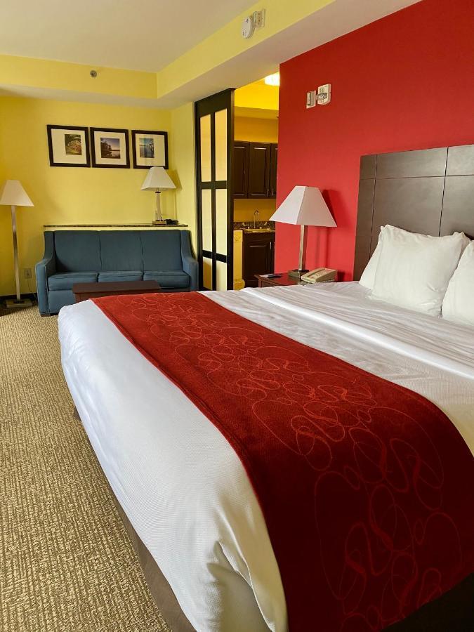 Comfort Suites Rock Hill Manchester Meadows Area מראה חיצוני תמונה