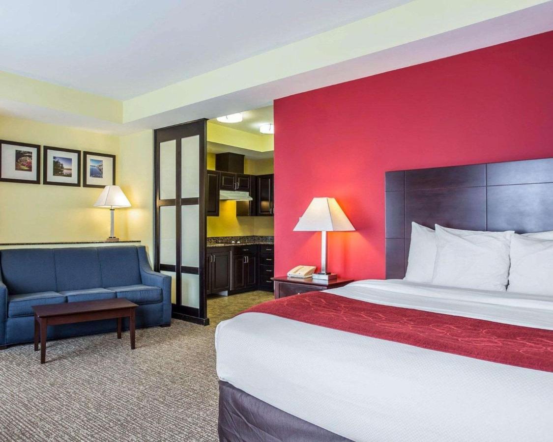 Comfort Suites Rock Hill Manchester Meadows Area מראה חיצוני תמונה